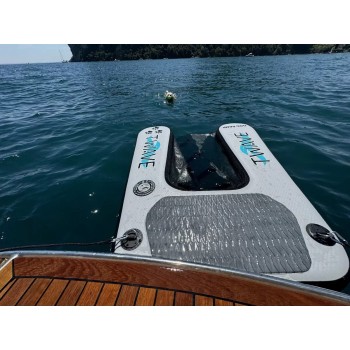 Scaletta per cani  T-WAVE